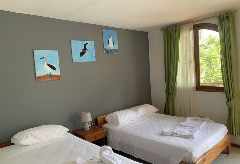 스탠다드 트리플 룸, Hostal White House Galapagos
