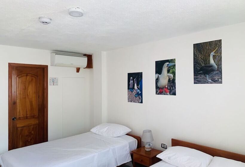 스탠다드 트리플 룸, Hostal White House Galapagos