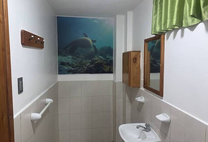 스탠다드 트리플 룸, Hostal White House Galapagos