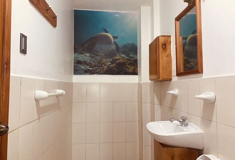 스탠다드 트리플 룸, Hostal White House Galapagos