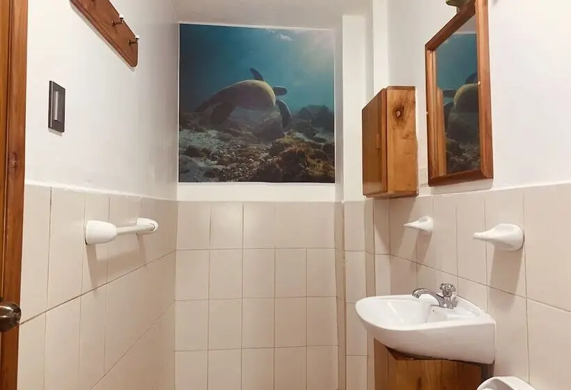Standard Kolmen Hengen Huone, Hostal White House Galapagos