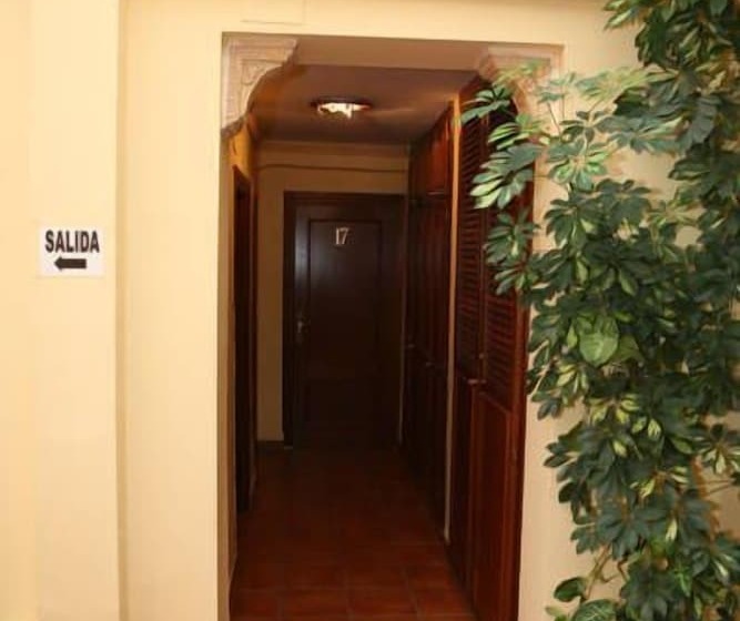 اتاق استاندارد یک تخته با سرویس بهداشتی مشترک, Pensión Zacatin