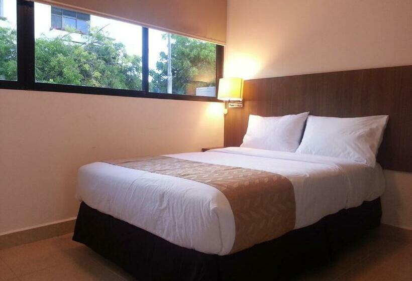 标准单人间, Buenavista Place