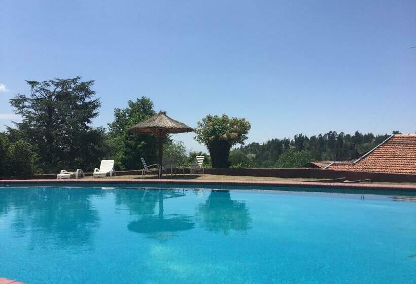 스탠다드 싱글 룸, Las Verbenas