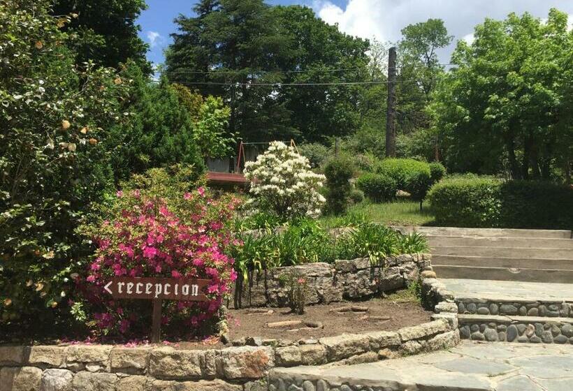 스탠다드 싱글 룸, Las Verbenas