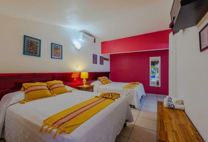 اتاق استاندارد چهار تخته, Meson De Mita