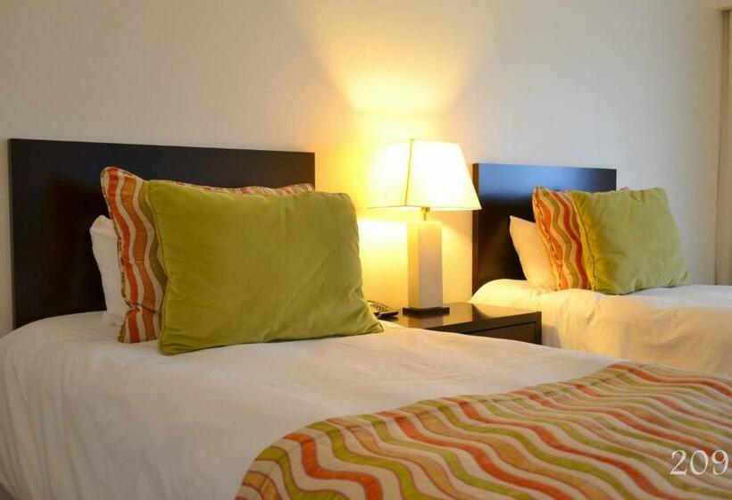 غرفة قياسية, Quinto Elemento