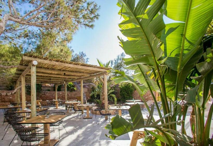 شقة غرفة واحدة مزودة بتراس, Sa Cala Suites