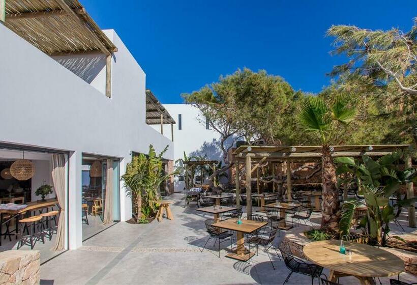 شقة غرفة واحدة مزودة بتراس, Sa Cala Suites