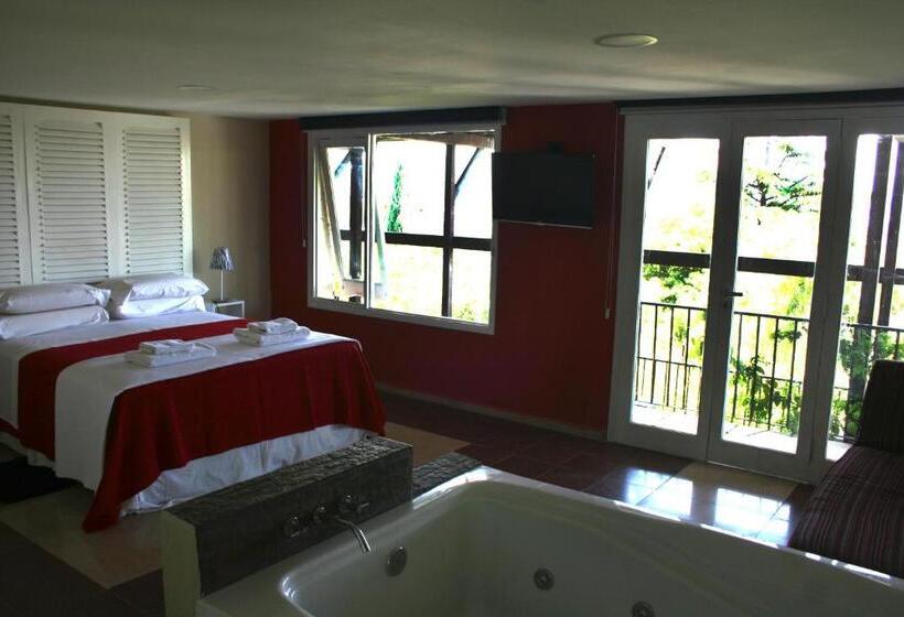 اتاق استاندارد با تخت بزرگ, Casa Alta Hotel Boutique & Spa   Solo Adultos