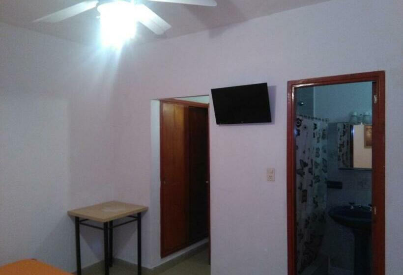 スタンダード４人部屋, Coliseo