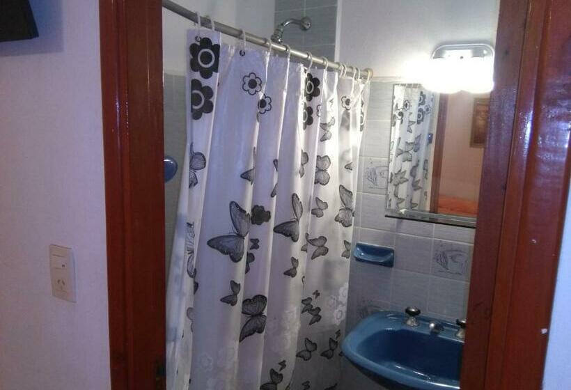 スタンダードルーム, Coliseo