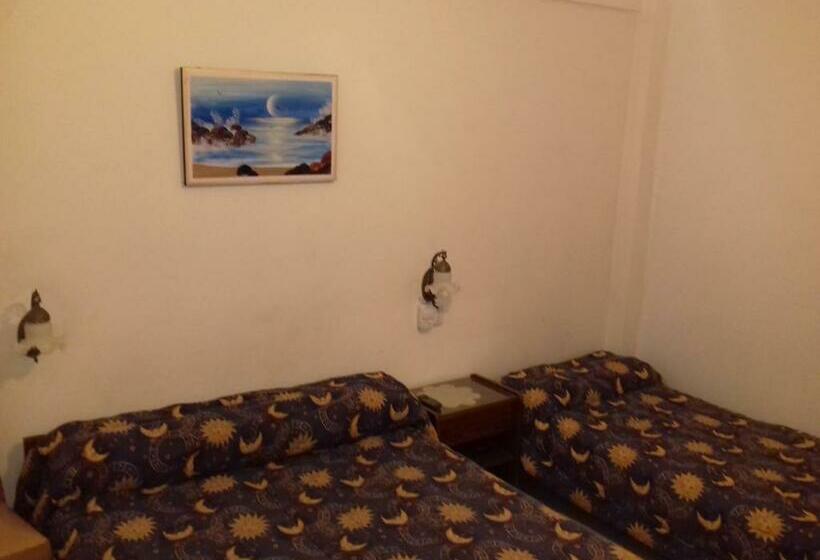 スタンダード４人部屋, Coliseo