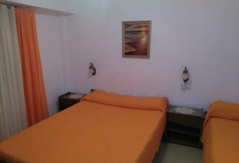 スタンダードルーム, Coliseo