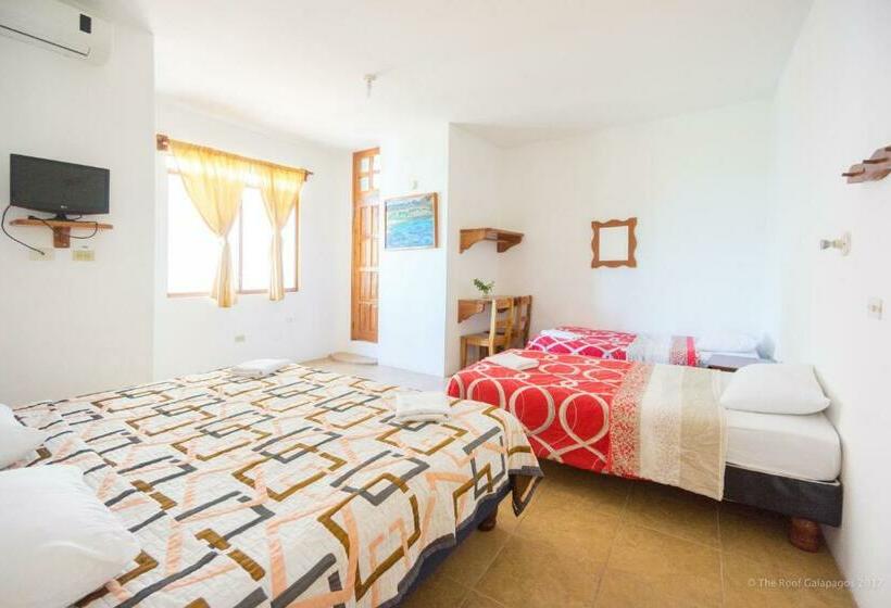 غرفة كلاسيكية ثلاثية, Galapagos Verde Azul