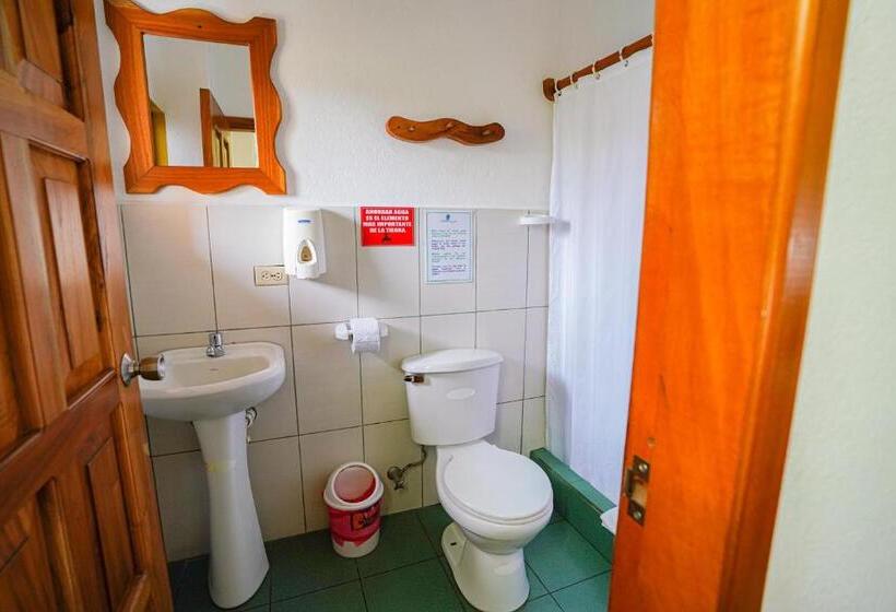 غرفة قياسية, Galapagos Verde Azul