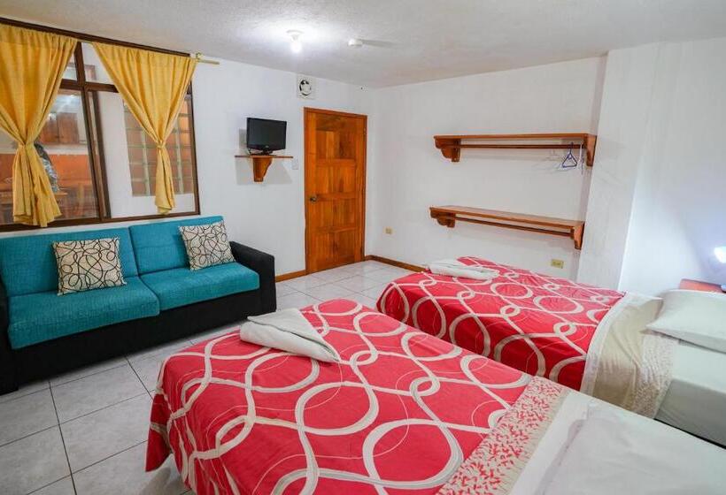 غرفة قياسية, Galapagos Verde Azul