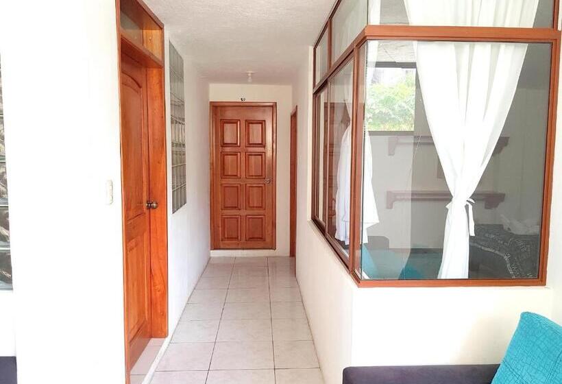 غرفة قياسية, Galapagos Verde Azul