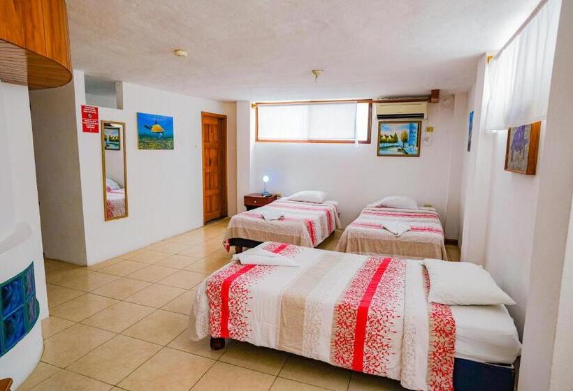 غرفة قياسية ثلاثية, Galapagos Verde Azul