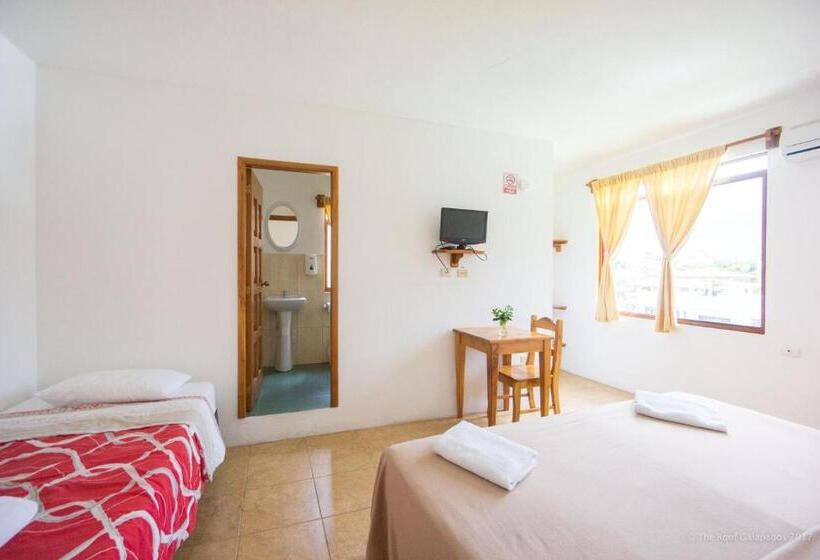 غرفة كلاسيكية ثلاثية, Galapagos Verde Azul