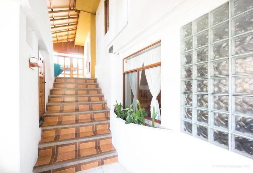 غرفة قياسية, Galapagos Verde Azul