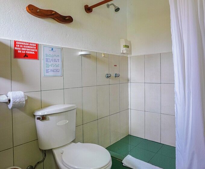 غرفة قياسية رباعية, Galapagos Verde Azul