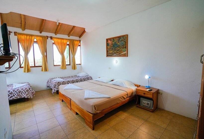 غرفة قياسية رباعية, Galapagos Verde Azul