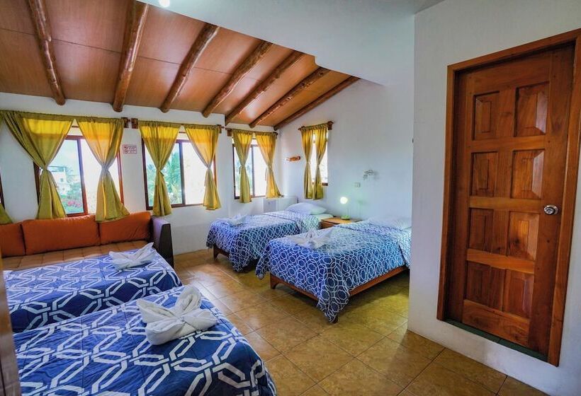 غرفة قياسية رباعية, Galapagos Verde Azul