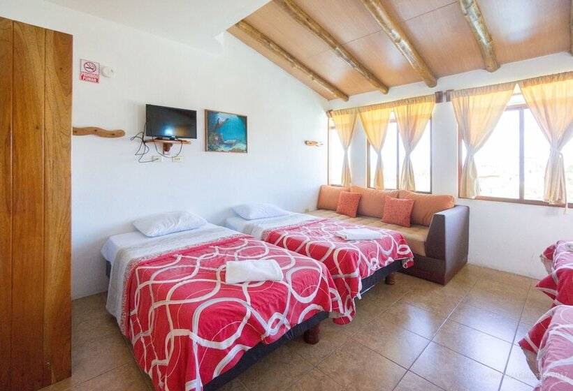 غرفة قياسية رباعية, Galapagos Verde Azul