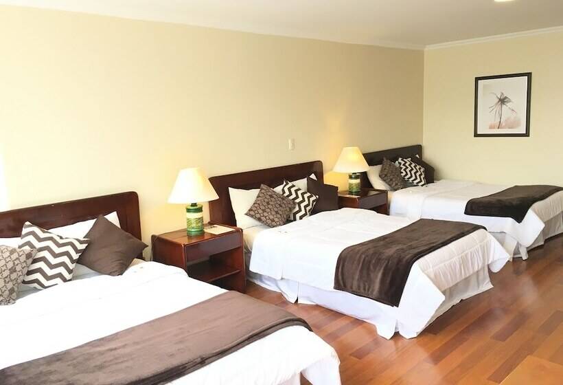 수피리어 트리플 룸, Nass Pinar Del Lago