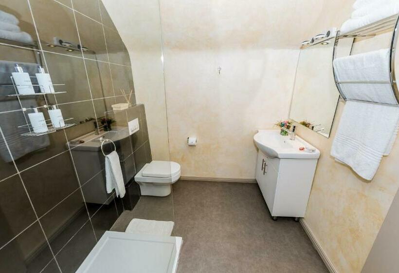 수피리어 룸, Le Petit Chateau Guest House