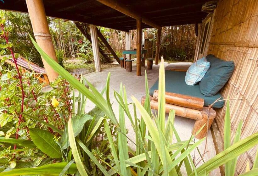 بنگله خانوادگی, The Mudhouse Hostel Mompiche