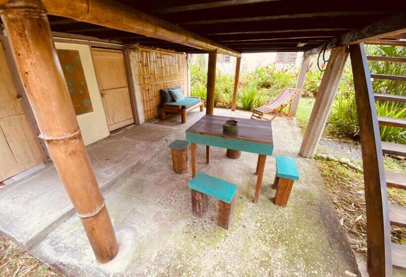 Семейное Бунгало, The Mudhouse Hostel Mompiche