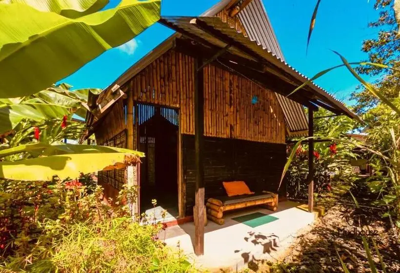 スタンダード4人部屋, The Mudhouse Hostel Mompiche