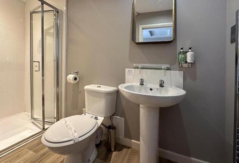 스탠다드 트리플 룸, The Lobster