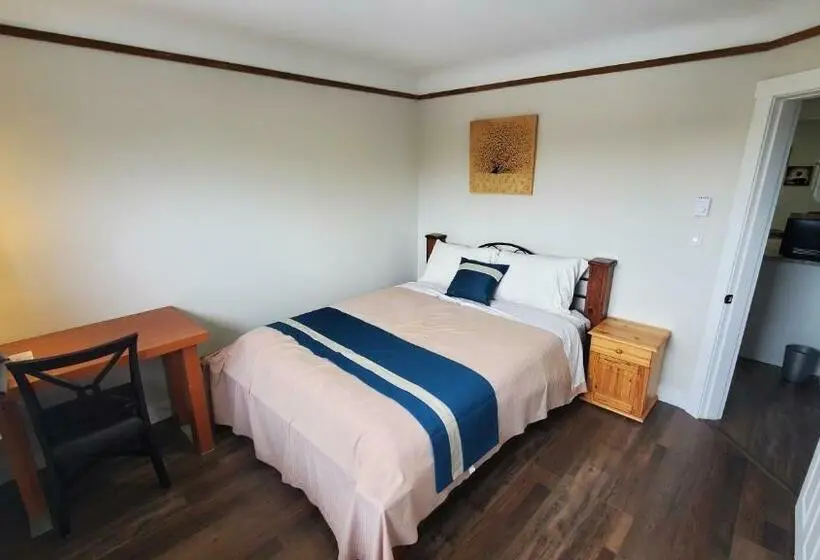 Sviitti, Harbour Light Motel
