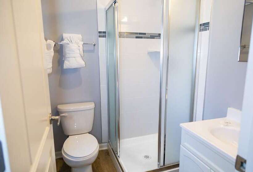 غرفة قياسية سرير بطابقين, Chicago West Loop