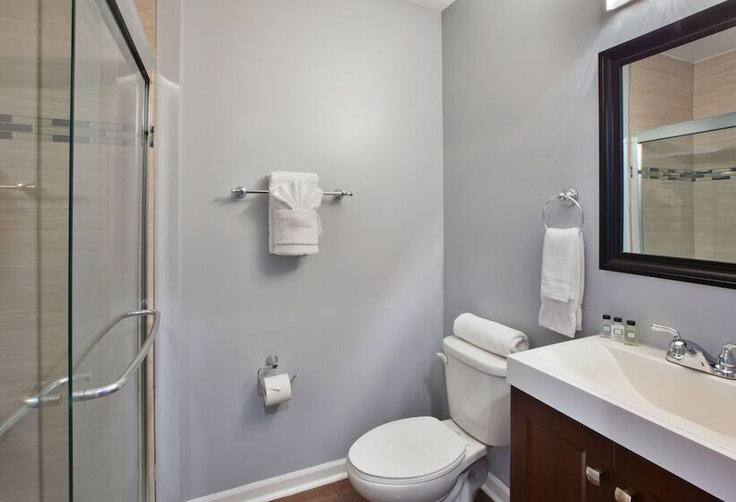 غرفة قياسية سرير بطابقين, Chicago West Loop