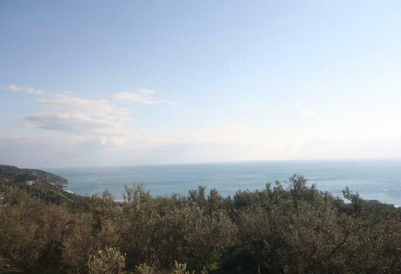 آپارتمان 2 خوابه با تراس, Imperial