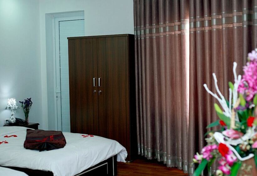 اتاق سوپریور, New Airport Hotels