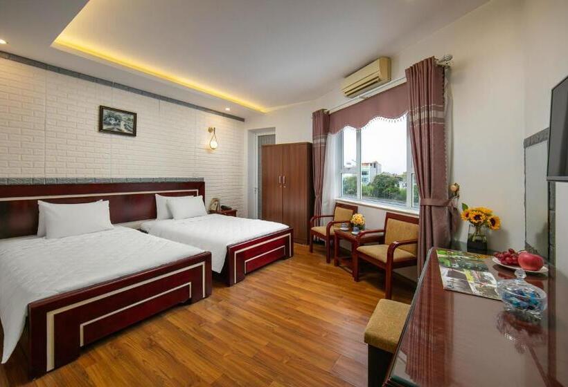 اتاق استاندارد با چشم‌انداز, New Airport Hotels