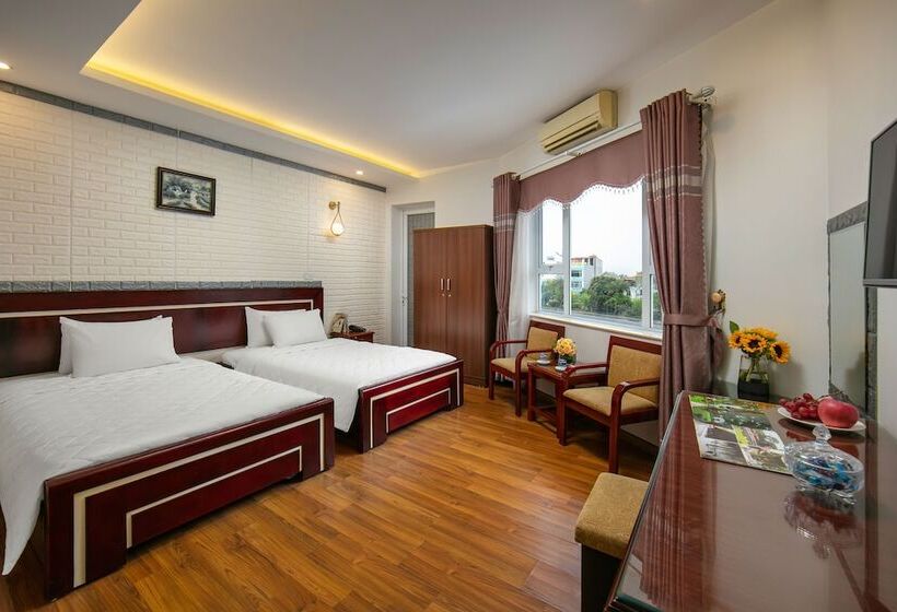 اتاق سوپریور, New Airport Hotels