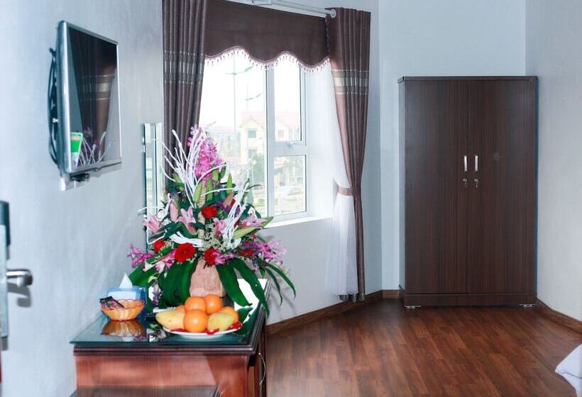 سوییت با چشم‌انداز کوه, New Airport Hotels