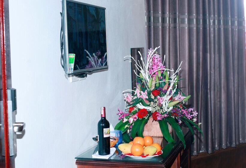 سوییت با چشم‌انداز کوه, New Airport Hotels