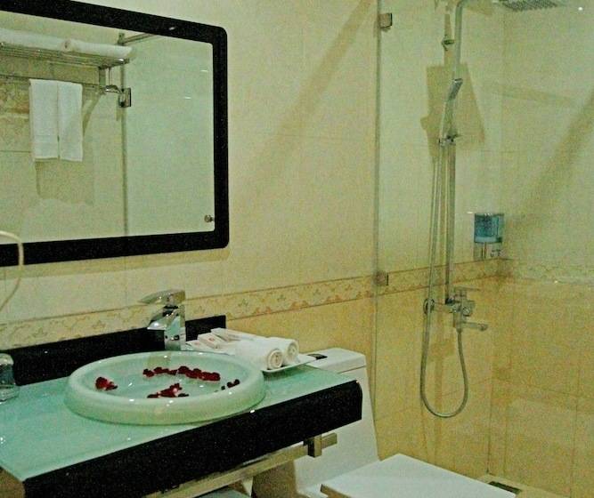 سوییت با چشم‌انداز کوه, New Airport Hotels