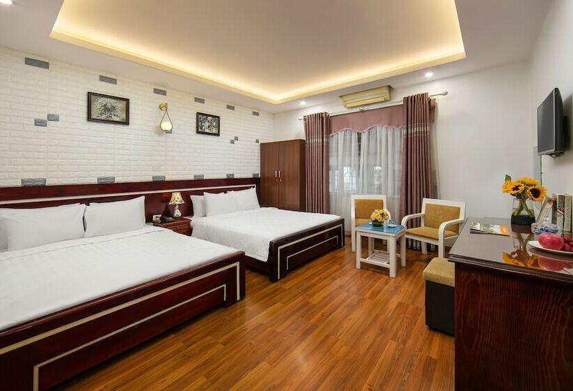 سوییت با چشم‌انداز کوه, New Airport Hotels