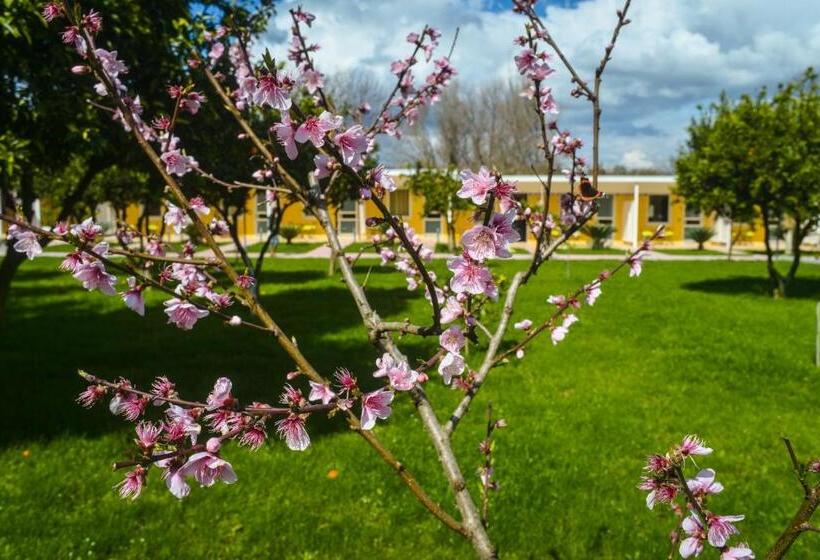Трехместный Номер Комфорт, Resort & Winery Bosco De Medici