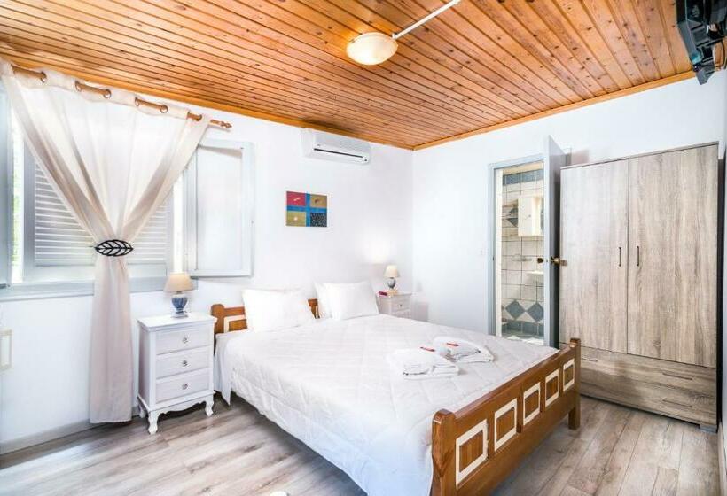 Quarto Estandar, Sofia