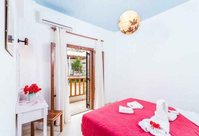 Quarto Estandar, Sofia