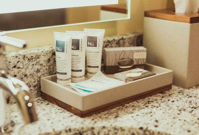 غرفة قياسية سرير كينج, Tailwater Lodge Altmar, Tapestry Collection By Hilton